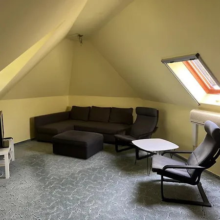 Orgona Apartment *